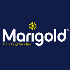 Collection image for: Marigold