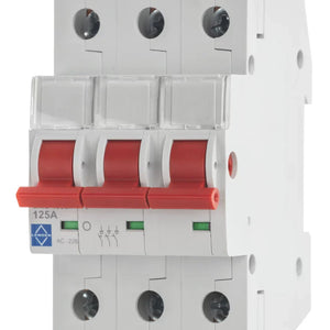 LEWDEN 125A 3-POLE 3-PHASE MAINS SWITCH DISCONNECTOR - MonkeyTools