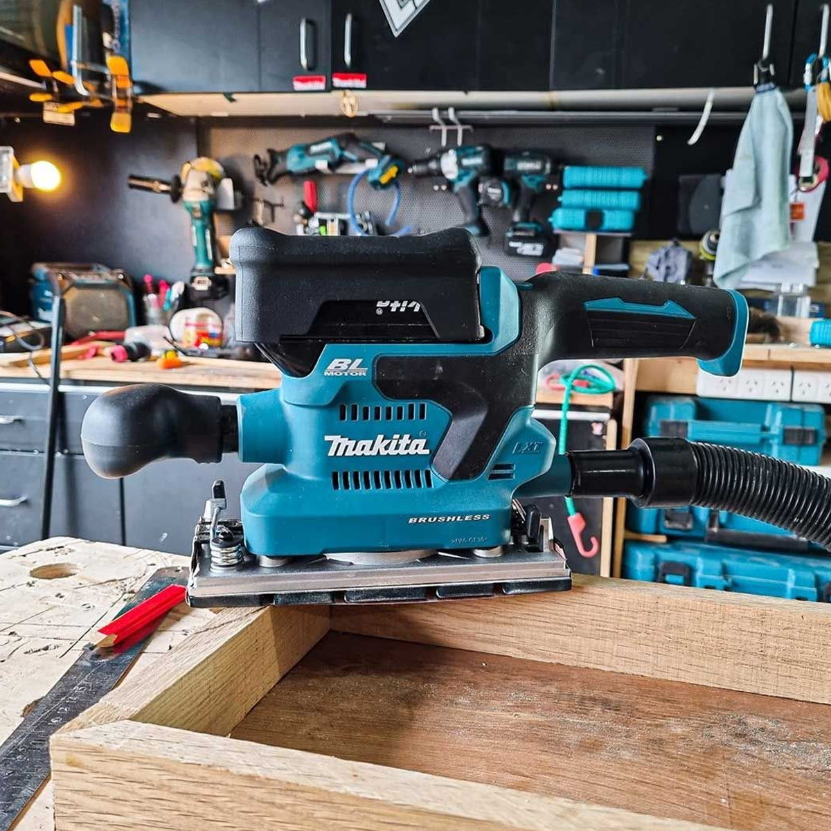 Makita DBO380Z 18V LXT Brushless Finishing Sander Body Only - MonkeyTools